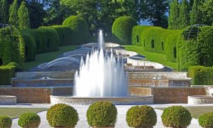 Anwick Gardens web
