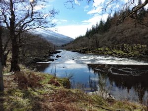 River View