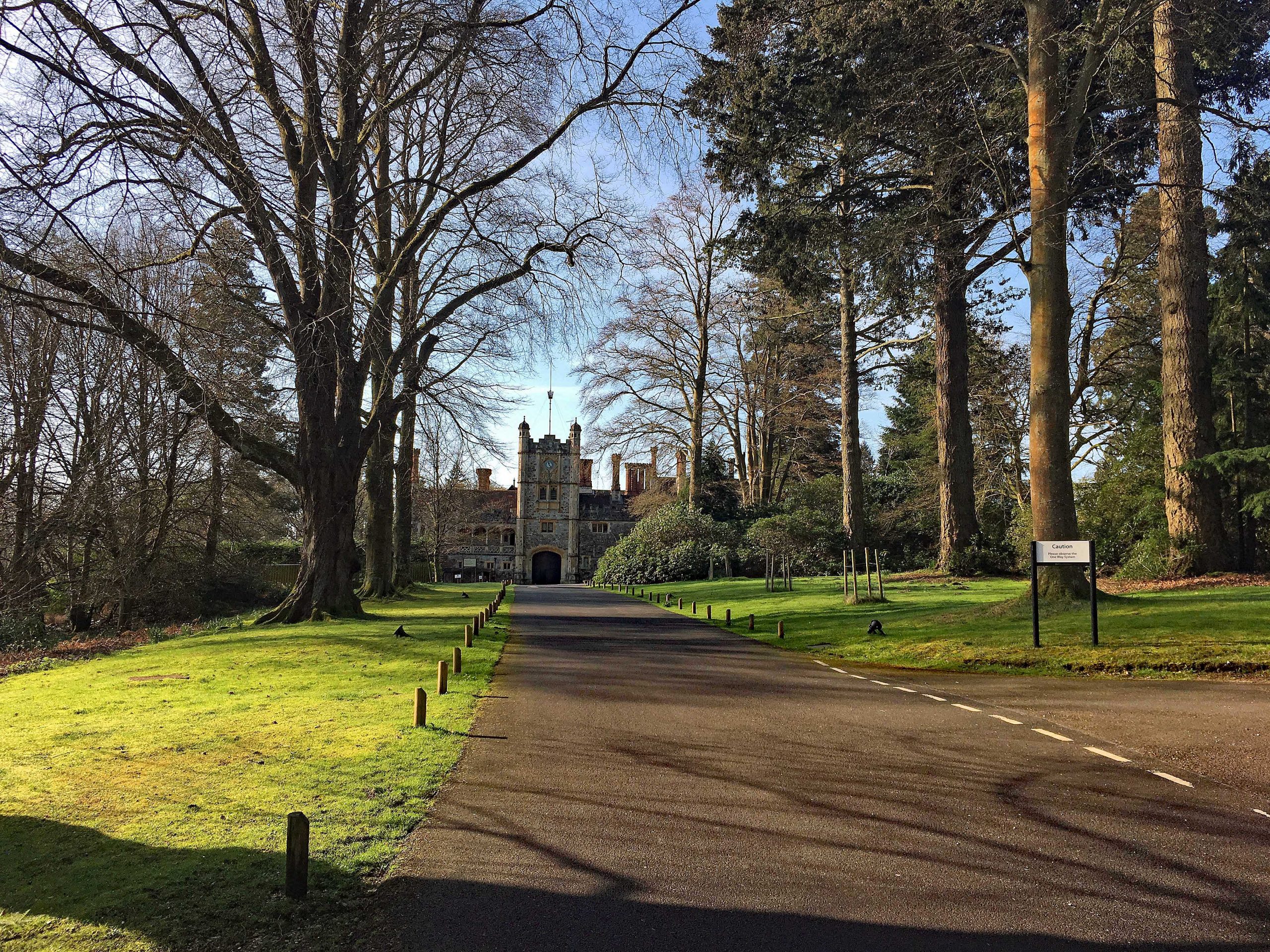 New Forest Tour